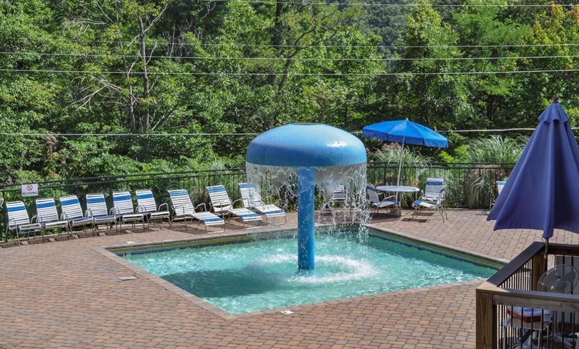 Vila Chestnut Bearadise Gatlinburg Exteriér fotografie